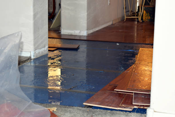 Professional Sewage Cleanup technician working in Wellsville, KS
